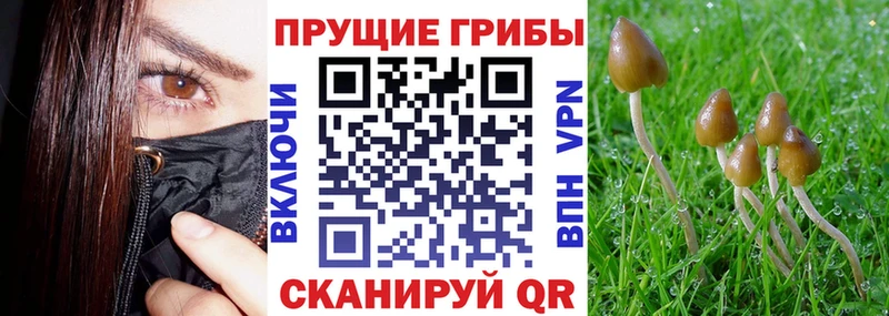 Галлюциногенные грибы MAGIC MUSHROOMS  Ясный 